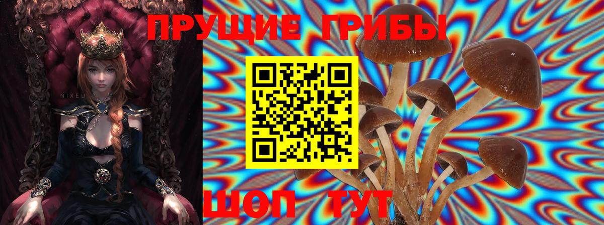 Псилоцибиновые грибы Magic Shrooms  Вход с VPN  Красногорск 